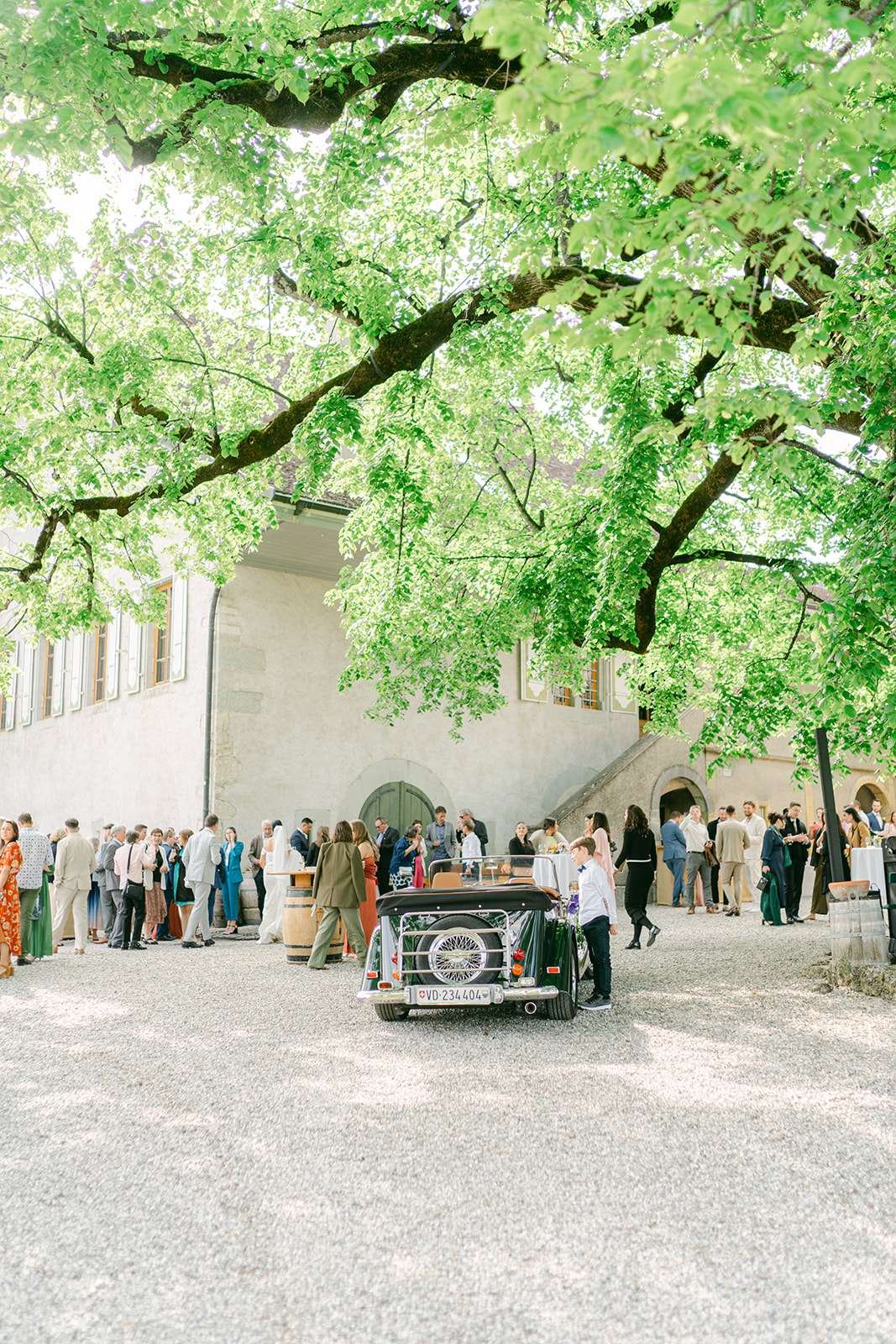Guests mingle during a cocktail hour under a large tree around the venue and green vintage car